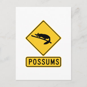 Carte Postale Attention Avec Possum 2, Signal D'Avertissement De