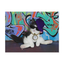 Attitude de chat.........................