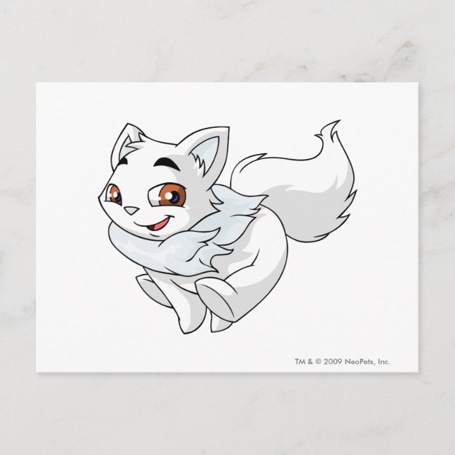 Carte Postale Attrape ce Wocky si tu peux ! (Devant)