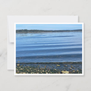 Carte Postale Au bord de l'eau