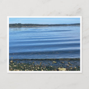 Carte Postale Au bord de l'eau