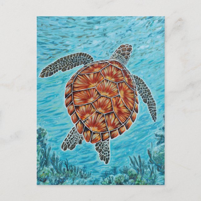 Carte Postale Au-delà du récif (Devant)