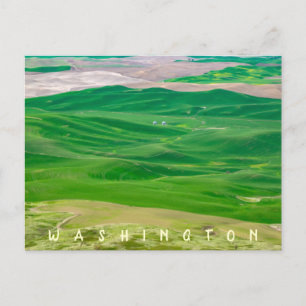 Carte Postale Au-dessus de la maison verte de la Butte Steptoe