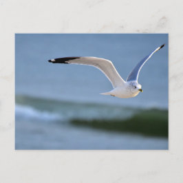Carte Postale Au-dessus des vagues