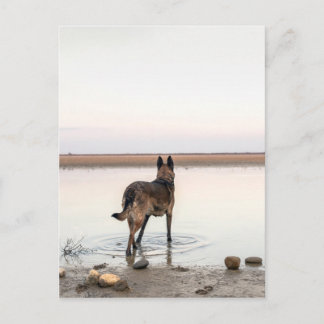 Carte Postale au loin