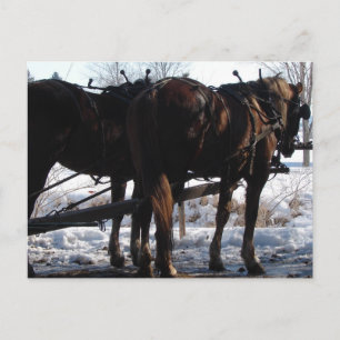 Carte Postale Au poste de tir