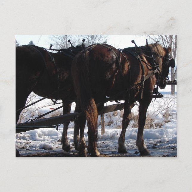 Carte Postale Au poste de tir (Devant)