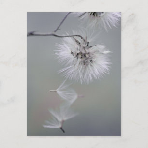 Carte Postale Au Revoir Fleur d'automne Graines quittant CC0092