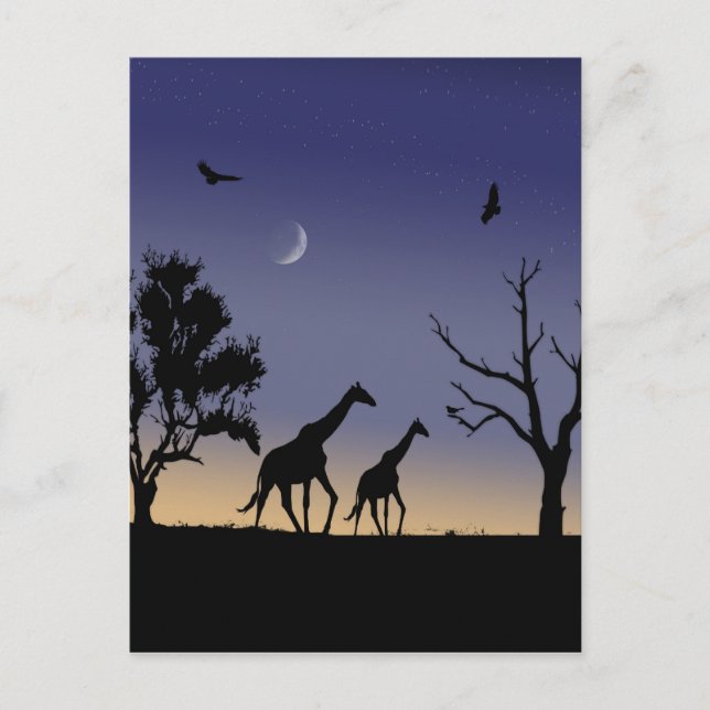 Carte Postale aube africaine - girafes (Devant)