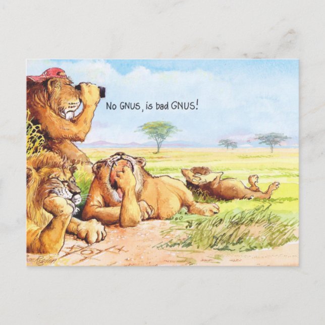 Carte Postale Aucun gnus (Devant)