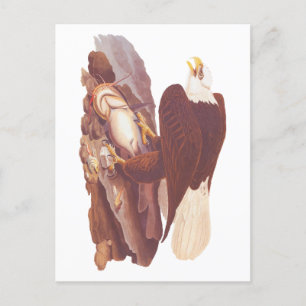 Carte Postale Audubon Classic Bald Eagle avec poisson frais
