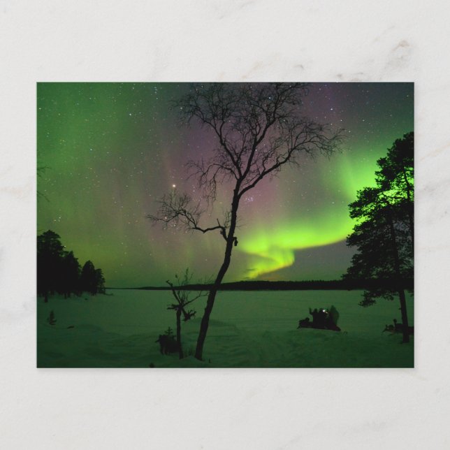 Carte Postale Aurora (Devant)