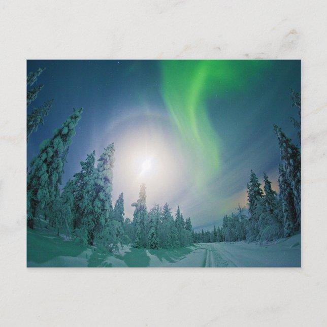 Carte Postale Aurora Borealis (Devant)