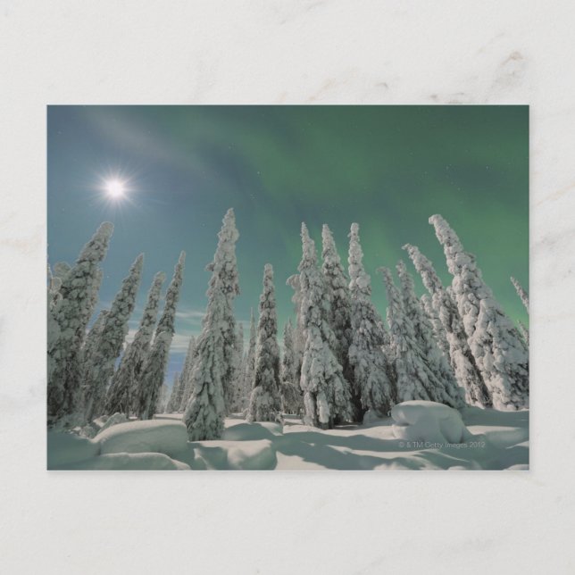 Carte Postale Aurora Borealis (Devant)