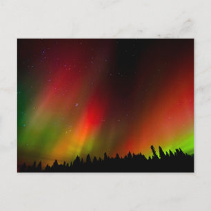 Carte Postale Aurora Borealis et arbres