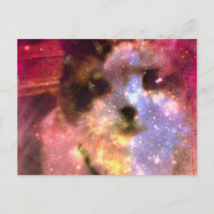 Carte Postale aurora borealis kitty