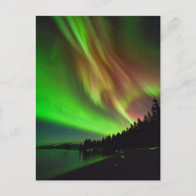 Carte Postale Aurora de Bourgogne (Devant)