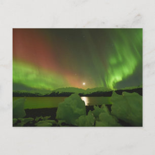 Carte Postale Aurora magique
