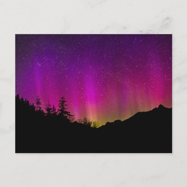 Carte Postale aurores boréales Aurora Borealis étoile ciel (Devant)