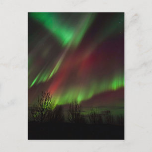 Carte Postale Aurores boréales Scandinavie, Islande