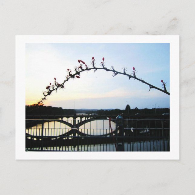 Carte Postale Austin Texas (Devant)