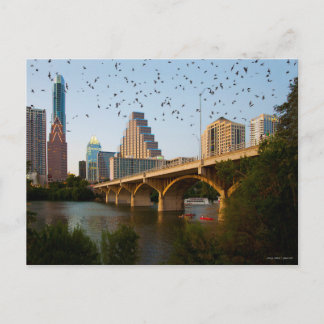 Carte Postale Austin, Texas avec chauves-souris