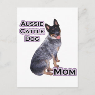 Carte Postale Australian Cattle Chien Maman 4