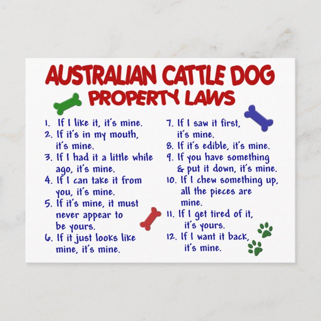 Carte Postale AUSTRALIAN CATTLE DOG, propriété Lois 2 (Devant)