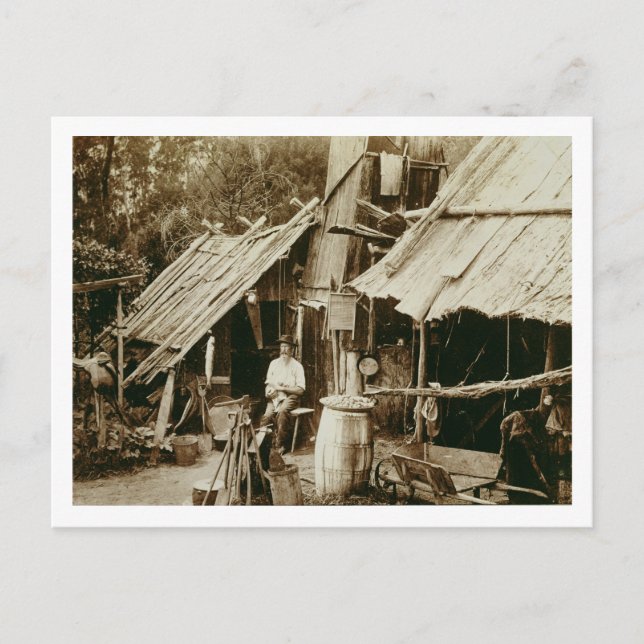 Carte Postale Australian prospector, c.1880s (sepia photo) (Devant)