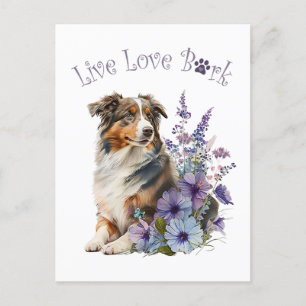 Carte Postale Australian Shepherd Chien Maman Floral