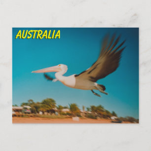 Carte Postale Australie