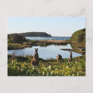 Carte postale Australie