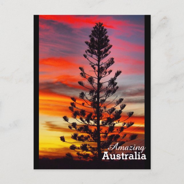 Carte postale Australie Extraordinaire (Devant)