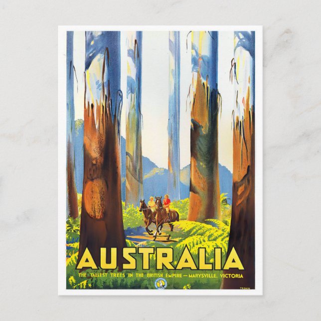 Carte Postale Australie les arbres les plus hauts voyage vintage (Devant)