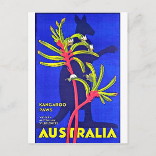 Carte Postale Australie, pattes de kangourou, fleurs sauvages au