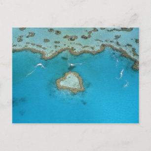 Carte Postale Australie, Queensland, Les îles Whitsunday,