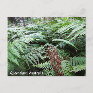 Carte postale australienne du Queensland