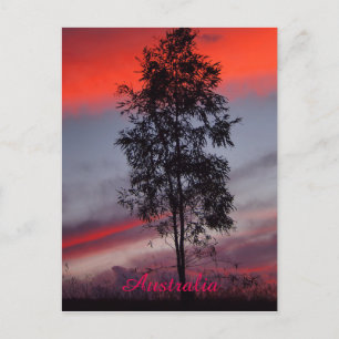 Carte postale australienne orageuse au coucher du 