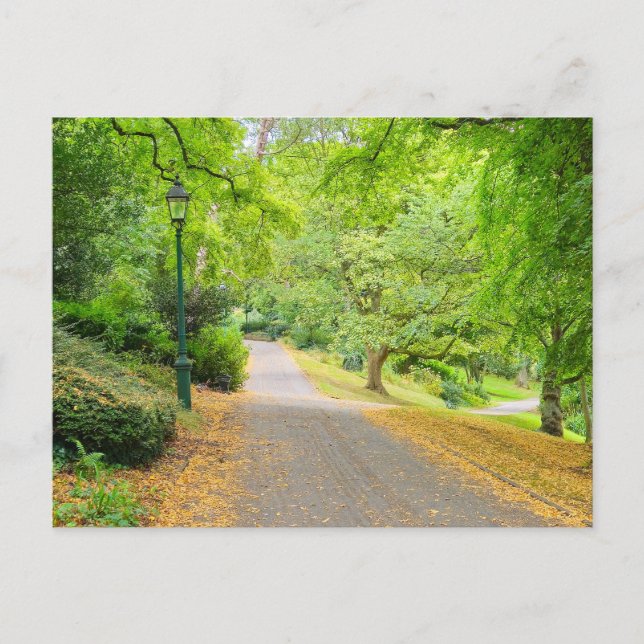 Carte Postale Automne  (Devant)