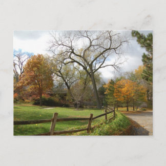 Carte Postale Automne