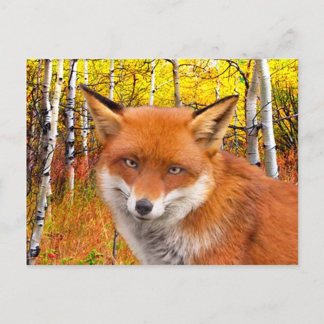 Carte Postale "Automne" (Devant)