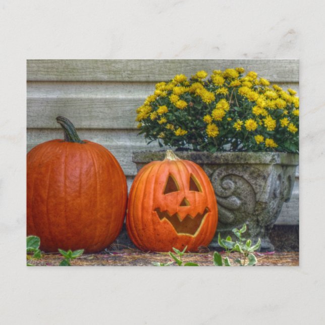 Carte postale Automne (Devant)