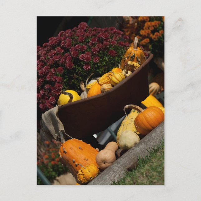 Carte postale Automne (Devant)