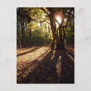 Carte Postale Automne  