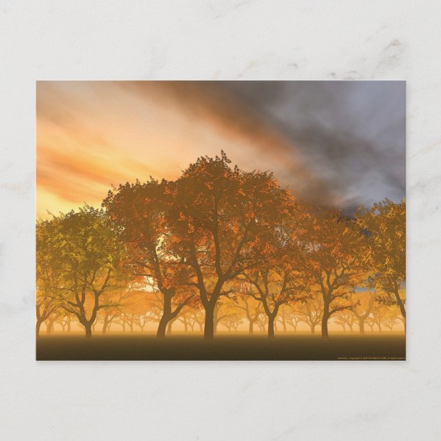 Carte Postale Automne (Devant)