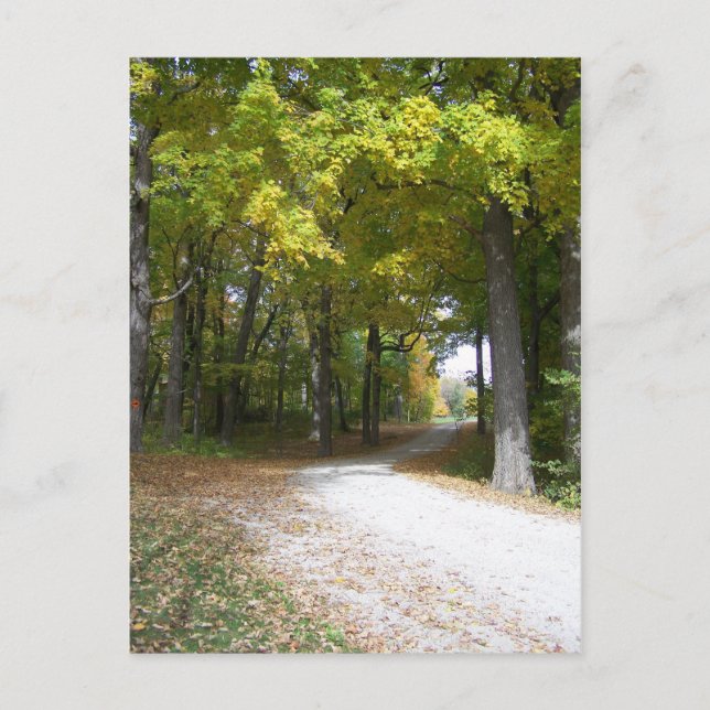 carte postale automne (Devant)