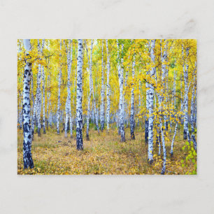 Carte Postale Automne