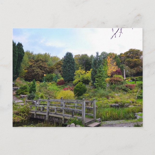 Carte Postale Automne (Devant)