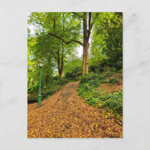 Carte Postale Automne