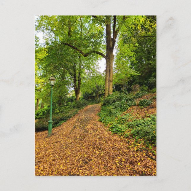 Carte Postale Automne (Devant)